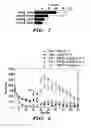Fig. 40 - NEUROACTIVE COMPOUNDS AND METHODS OF USING SAME