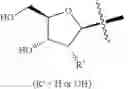 Fig. 05 - Ergostenol glycoside derivative
