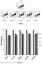 Fig. 04 - Cell penetrating peptides with improved internalization properties