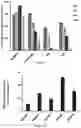 Fig. 05 - Cell penetrating peptides with improved internalization properties