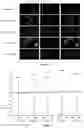 Fig. 06 - Cell penetrating peptides with improved internalization properties