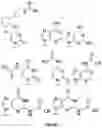 Fig. 06 - Template-directed PNA synthesis process and PNA targeting compounds