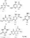 Fig. 07 - Template-directed PNA synthesis process and PNA targeting compounds