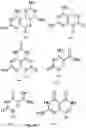 Fig. 08 - Template-directed PNA synthesis process and PNA targeting compounds
