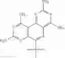 Fig. 22 - Template-directed PNA synthesis process and PNA targeting compounds