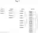 Fig. 02 - IMMUNITY INDUCER