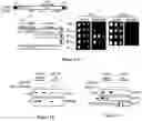 Fig. 02 - POLYPEPTIDES FOR ENGINEERING INTEGRASE CHIMERIC PROTEINS AND THEIR USE IN GENE THERAPY