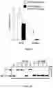 Fig. 03 - POLYPEPTIDES FOR ENGINEERING INTEGRASE CHIMERIC PROTEINS AND THEIR USE IN GENE THERAPY