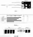 Fig. 10 - POLYPEPTIDES FOR ENGINEERING INTEGRASE CHIMERIC PROTEINS AND THEIR USE IN GENE THERAPY