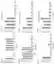 Fig. 08 - Method for preparing cells expressing Nef-fusion proteins associated with exosomes