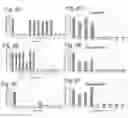 Fig. 08 - COMPOSITIONS AND METHODS FOR EXOSOME TARGETED EXPRESSION