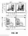 Fig. 09 - AP4 and methods of promoting T cell activation