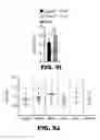 Fig. 22 - AP4 and methods of promoting T cell activation