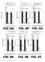 Fig. 40 - AP4 and methods of promoting T cell activation
