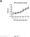 Fig. 07 - METHODS AND MEANS FOR EXPRESSION OF AUTHENTIC AND BIOACTIVE BASIC FIBROBLAST GROWTH FACTOR IN BACILLUS SUBTILIS