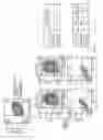 Fig. 07 - T cell receptor