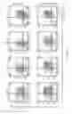 Fig. 43 - T cell receptor