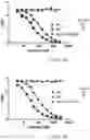 Fig. 06 - Method of reducing tumor relapse rate in immunotherapy by administration of lenzilumab