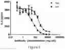 Fig. 07 - Method of reducing tumor relapse rate in immunotherapy by administration of lenzilumab