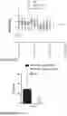 Fig. 44 - Method of reducing tumor relapse rate in immunotherapy by administration of lenzilumab