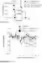 Fig. 45 - Method of reducing tumor relapse rate in immunotherapy by administration of lenzilumab