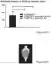 Fig. 63 - Method of reducing tumor relapse rate in immunotherapy by administration of lenzilumab