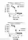 Fig. 15 - PD1 and/or LAG3 binders