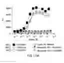 Fig. 22 - PD1 and/or LAG3 binders