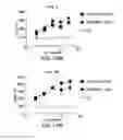 Fig. 35 - PD1 and/or LAG3 binders