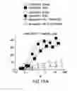 Fig. 43 - PD1 and/or LAG3 binders
