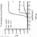 Fig. 40 - Cell engaging binding molecules