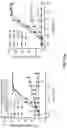 Fig. 43 - Cell engaging binding molecules