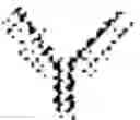 Fig. 47 - Antigen-binding polypeptide constructs comprising kappa and lambda light chains and uses thereof
