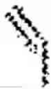 Fig. 67 - Antigen-binding polypeptide constructs comprising kappa and lambda light chains and uses thereof
