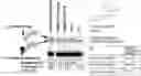 Fig. 01 - PRODUCTION METHOD FOR NONCYCLIC PEPTIDE-NUCLEIC ACID COMPLEX HAVING, AT N-TERMINAL, AMINO ACID WITH THIOL GROUP NEAR AMINO GROUP, LIBRARY THEREOF, AND CYCLIC PEPTIDE-NUCLEIC ACID COMPLEX LIBRARY DERIVED FROM SAME
