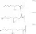 Fig. 22 - PRODUCTION METHOD FOR NONCYCLIC PEPTIDE-NUCLEIC ACID COMPLEX HAVING, AT N-TERMINAL, AMINO ACID WITH THIOL GROUP NEAR AMINO GROUP, LIBRARY THEREOF, AND CYCLIC PEPTIDE-NUCLEIC ACID COMPLEX LIBRARY DERIVED FROM SAME