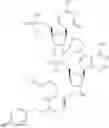 Fig. 80 - PRODUCTION METHOD FOR NONCYCLIC PEPTIDE-NUCLEIC ACID COMPLEX HAVING, AT N-TERMINAL, AMINO ACID WITH THIOL GROUP NEAR AMINO GROUP, LIBRARY THEREOF, AND CYCLIC PEPTIDE-NUCLEIC ACID COMPLEX LIBRARY DERIVED FROM SAME
