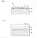 Fig. 02 - Curable composition for imprinting, replica mold and its production process