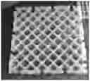 Fig. 01 - Biological ink