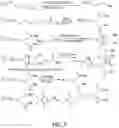 Fig. 04 - Dendrimeric metallacrowns