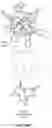 Fig. 26 - Dendrimeric metallacrowns