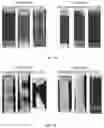 Fig. 02 - Hybrid composition and method for the repair and maintenance of asphalt and concrete surfaceways