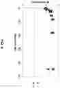 Fig. 08 - Fiber coatings with low pullout force