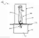 Fig. 01 - PERFUSION-BIOREACTOR AND METHOD FOR PROCESSING VASCULARIZED COMPOSITE TISSUE