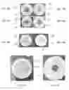 Fig. 08 - PERFUSION-BIOREACTOR AND METHOD FOR PROCESSING VASCULARIZED COMPOSITE TISSUE
