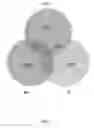 Fig. 02 - MULTIPOTENT ADULT STEM CELLS: CHARACTERIZATION AND USE