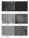 Fig. 07 - MULTIPOTENT ADULT STEM CELLS: CHARACTERIZATION AND USE