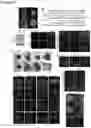 Fig. 07 - Three dimensional heterogeneously differentiated tissue culture