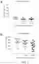 Fig. 02 - Methods of enhancing engraftment activity of hematopoietic stem cells