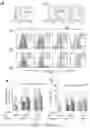 Fig. 22 - Methods of enhancing engraftment activity of hematopoietic stem cells